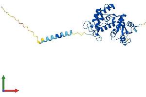 AlphaFold protein structure predicition of Mouse Recombinant Cd38 Protein, UniprotID P56528 (CD38 Protein (AA 1-304) (His tag))