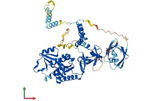 Protein Structure (PS) image for Membrane Protein, Palmitoylated 6 (MAGUK P55 Subfamily Member 6) (MPP6) (AA 1-553) protein (His tag) (ABIN7561669)