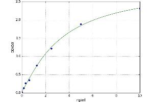 Heterogeneous Nuclear Ribonucleoprotein U (Scaffold Attachment Factor A) (HNRNPU) ELISA Kit