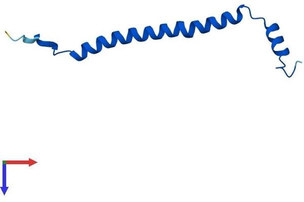 COX6C Protein (AA 1-75) (Fc Tag)