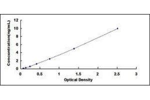 Typical standard curve (CD31 ELISA Kit)