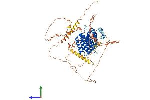 AlphaFold protein structure predicition of Human Recombinant CTIF Protein, UniprotID O43310