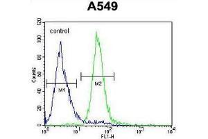 CO039 Antibody (C-term) flow cytometric analysis of A549 cells (right histogram) compared to a negative control cell (left histogram). (C15ORF39 Antikörper  (C-Term))
