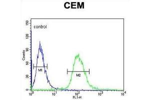 Flow Cytometry (FACS) image for anti-Ubiquitously Transcribed Tetratricopeptide Repeat Gene, Y-Linked (UTY) antibody (ABIN3004021)