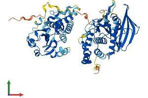 Protein Structure (PS) image for Protein tyrosine Phosphatase, Non-Receptor Type 9 (PTPN9) (AA 1-593) protein (His tag) (ABIN7562289)