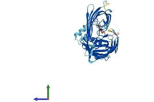 Protein Structure (PS) image for Sorting and Assembly Machinery Component 50 Homolog (SAMM50) (AA 1-469) protein (His tag) (ABIN7558555)