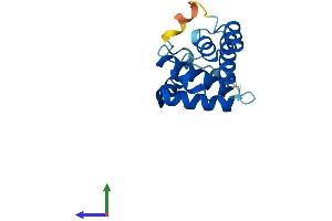 AlphaFold protein structure predicition of Mouse Recombinant Arpc5l Protein, UniprotID Q9D898