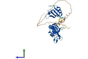 Protein Structure (PS) image for ELAV-Like 3 (ELAVL3) (AA 1-367) protein (His tag) (ABIN7547418)