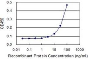 Detection limit for recombinant GST tagged NOG is 3 ng/ml as a capture antibody. (NOG Antikörper  (AA 28-232))
