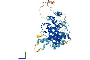 Protein Structure (PS) image for Ubiquitin-Conjugating Enzyme E2Q Family Member 2 (UBE2Q2) (AA 1-378) protein (His tag) (ABIN7559526)