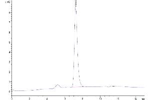 The purity of Bioyintlated Human Nectin-4 is greater than 95 % as determined by SEC-HPLC. (PVRL4 Protein (AA 32-351) (His-Avi Tag,Biotin))
