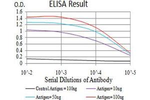 Black line: Control Antigen (100 ng);Purple line: Antigen (10ng); Blue line: Antigen (50 ng); Red line:Antigen (100 ng) (ZFP91 Antikörper  (AA 162-304))