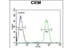NFKBIL1 Antibody (Center) (ABIN654639 and ABIN2844336) flow cytometric analysis of CEM cells (right histogram) compared to a negative control cell (left histogram). (NFKBIL1 Antikörper  (AA 256-285))
