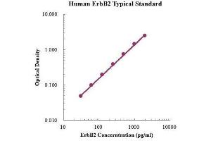 Receptor tyrosine-protein kinase erbB-2 (ErbB2/Her2) ELISA Kit