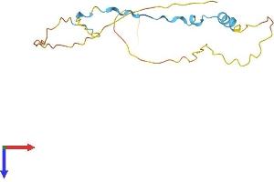 Dysbindin (Dystrobrevin Binding Protein 1) Domain Containing 1 (DBNDD1) (AA 1-160) protein (His tag)