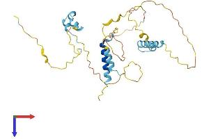 FAM110A Protein (AA 1-296) (His tag)