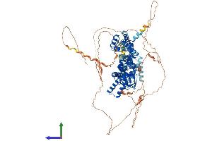 Protein Structure (PS) image for Hyperpolarization Activated Cyclic Nucleotide-Gated Potassium Channel 1 (HCN1) (AA 1-890) protein (His tag) (ABIN7554085)