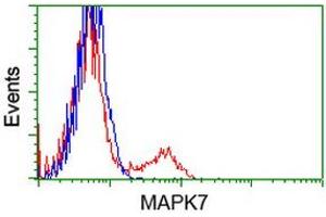 HEK293T cells transfected with either RC203506 overexpress plasmid (Red) or empty vector control plasmid (Blue) were immunostained by anti-MAPK7 antibody (ABIN2453998), and then analyzed by flow cytometry. (MAPK7 Antikörper)