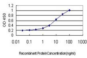 Detection limit for recombinant GST tagged TEK is approximately 0. (TEK Antikörper  (AA 701-800))