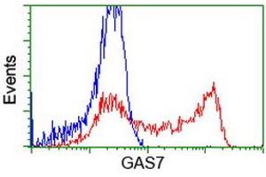 HEK293T cells transfected with either RC215256 overexpress plasmid (Red) or empty vector control plasmid (Blue) were immunostained by anti-GAS7 antibody (ABIN2453059), and then analyzed by flow cytometry. (GAS7 Antikörper)
