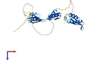 TARBP2 Protein (AA 1-365) (His tag)