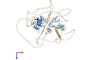 PRDM1 Protein (AA 1-856) (His tag)