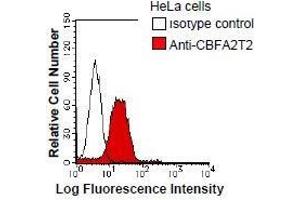 Flow Cytometry (FACS) image for anti-Core-binding Factor, Runt Domain, alpha Subunit 2, Translocated To, 2 (CBFA2T2) antibody (ABIN930909)