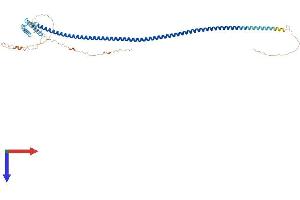 IQCG Protein (AA 1-443) (His tag)