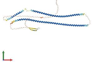 Protein Structure (PS) image for Keratin 26 (KRT26) (AA 1-468) protein (His tag) (ABIN7548700)