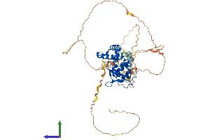 AlphaFold protein structure predicition of Mouse Recombinant Nfix Protein, UniprotID P70257