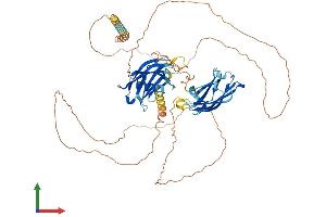Protein Structure (PS) image for Synaptotagmin XVI (SYT16) (AA 1-639) protein (His tag) (ABIN7558224)