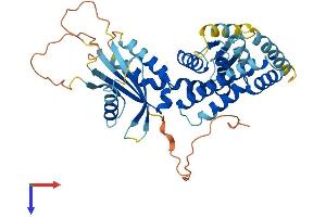 C17orf75 Protein (AA 1-396) (His tag)