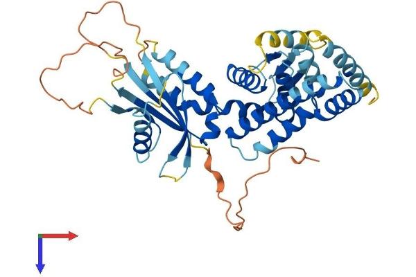 C17orf75 Protein (AA 1-396) (His tag)