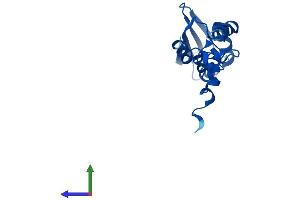 AlphaFold protein structure predicition of Mouse Recombinant Mrps25 Protein, UniprotID Q9D125