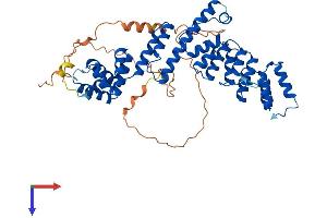 VIPAR Protein (AA 1-491) (His tag)