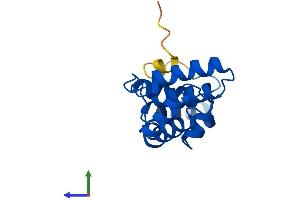 Protein Structure (PS) image for Regulator of G-Protein Signaling 13 (RGS13) (AA 1-158) protein (His tag) (ABIN7559561)