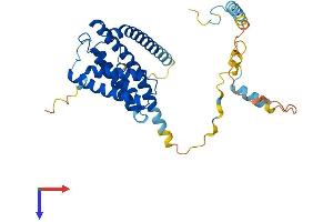 AlphaFold protein structure predicition of Mouse Recombinant Igbp1b Protein, UniprotID Q9QZ29