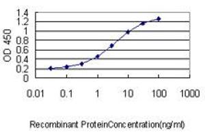 Detection limit for recombinant GST tagged HMGB2 is approximately 0. (HMGB2 Antikörper  (AA 1-195))