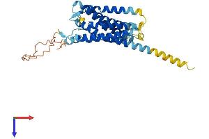 DARC Protein (AA 1-334) (His tag)