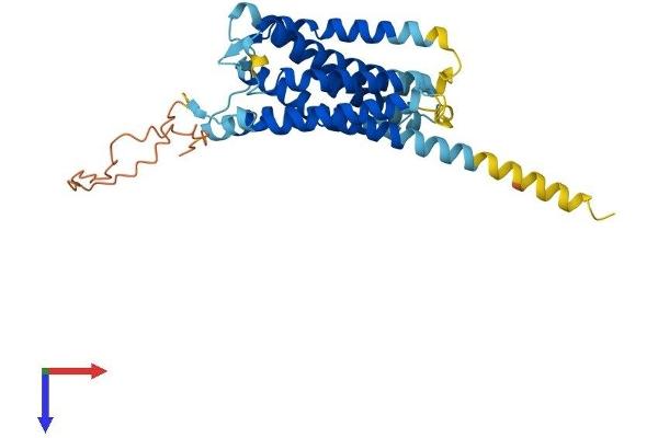 DARC Protein (AA 1-334) (His tag)