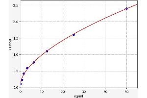 Acetylcholinesterase (AChE) ELISA Kit