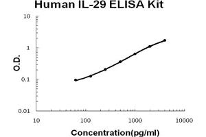 Human IL-29 Accusignal ELISA Kit Human IL-29 AccuSignal ELISA Kit standard curve. (IL29 ELISA Kit)