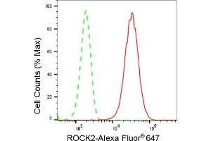 Flow cytometric analysis of ROCK2 expression in HepG2 cells using ROCK2 antibody (ABIN7800205), 1:2,000). (Rekombinanter ROCK2 Antikörper)