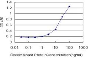 Detection limit for recombinant GST tagged CAV3 is approximately 1ng/ml as a capture antibody. (Caveolin 3 Antikörper  (AA 1-83))