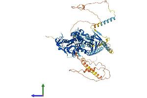 Protein Structure (PS) image for ATP-Binding Cassette, Sub-Family F (GCN20), Member 1 (ABCF1) (AA 1-837) protein (His tag) (ABIN7557993)