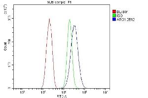 Flow Cytometry analysis of SiHa cells using anti- liver Arginase/ARG1 antibody (ABIN7600888). (Liver Arginase Antikörper  (AA 25-183))