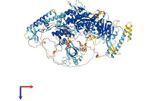 MSH6 Protein (AA 1-1360) (His tag)