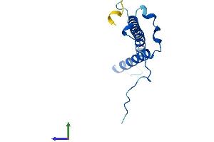 Protein Structure (PS) image for NADH Dehydrogenase (Ubiquinone) 1, Subcomplex Unknown, 2, 14.5kDa (NDUFC2) (AA 1-119) protein (His tag) (ABIN7549780)