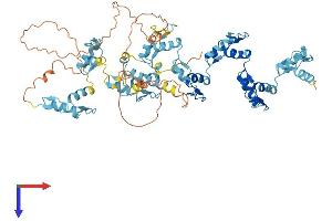 AlphaFold protein structure predicition of Human Recombinant ZNF534 Protein, UniprotID Q76KX8