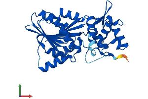 Protein Structure (PS) image for Histamine N-Methyltransferase (HNMT) (AA 1-292) protein (His tag) (ABIN7548320)